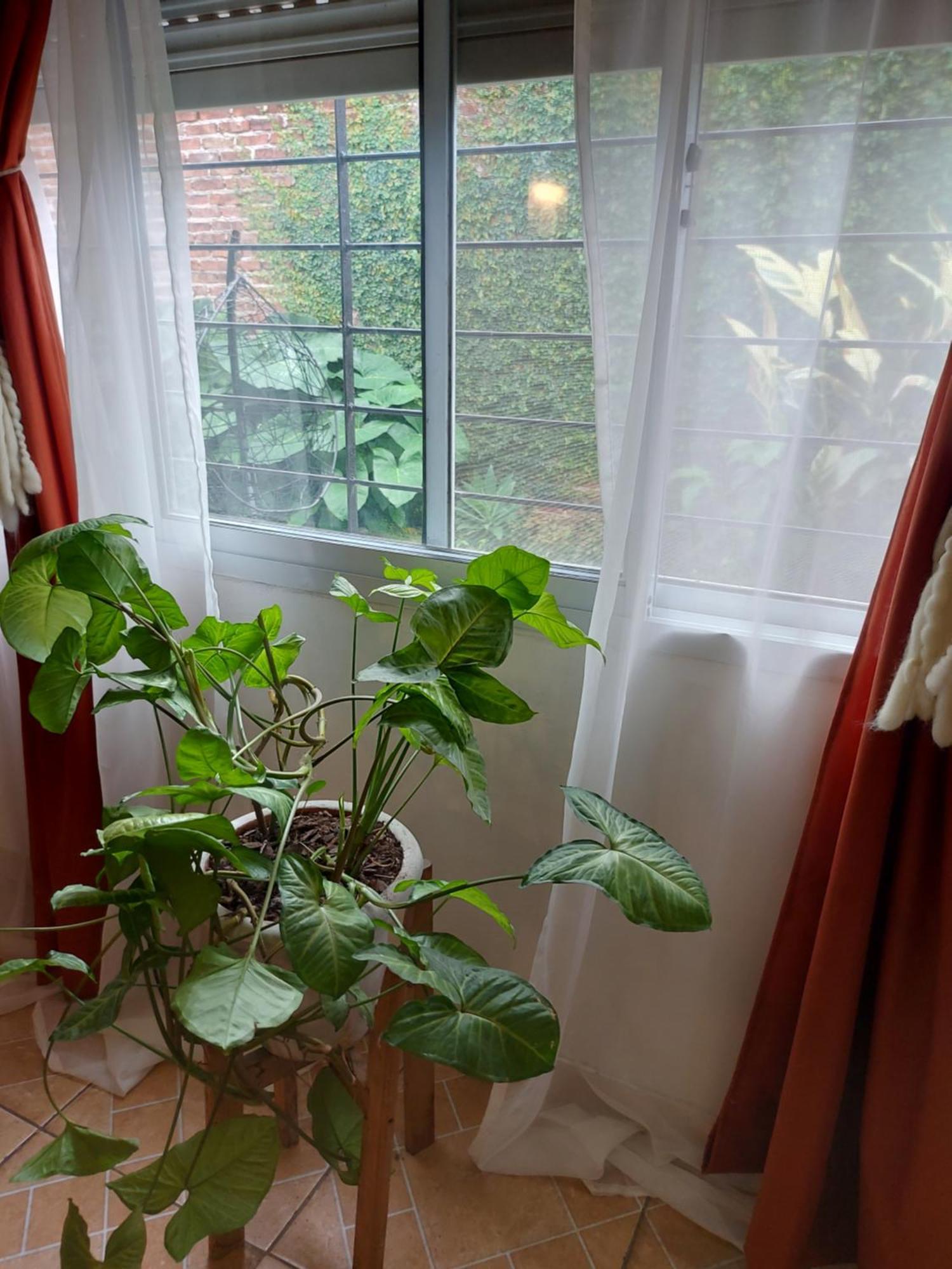 Casa En Gualeguaychuヴィラ エクステリア 写真